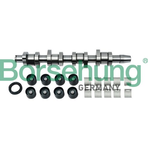 Borsehung Vezérműtengely-készlet BORA, GOLF V B18664
